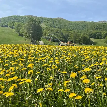 Szálloda Polle Life